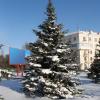  Запорожская Зима