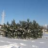  Запорожская Зима