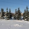  Запорожская Зима