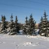  Запорожская Зима