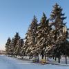  Запорожская Зима